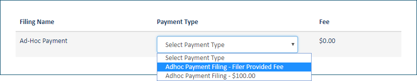 Ad hoc payment type options